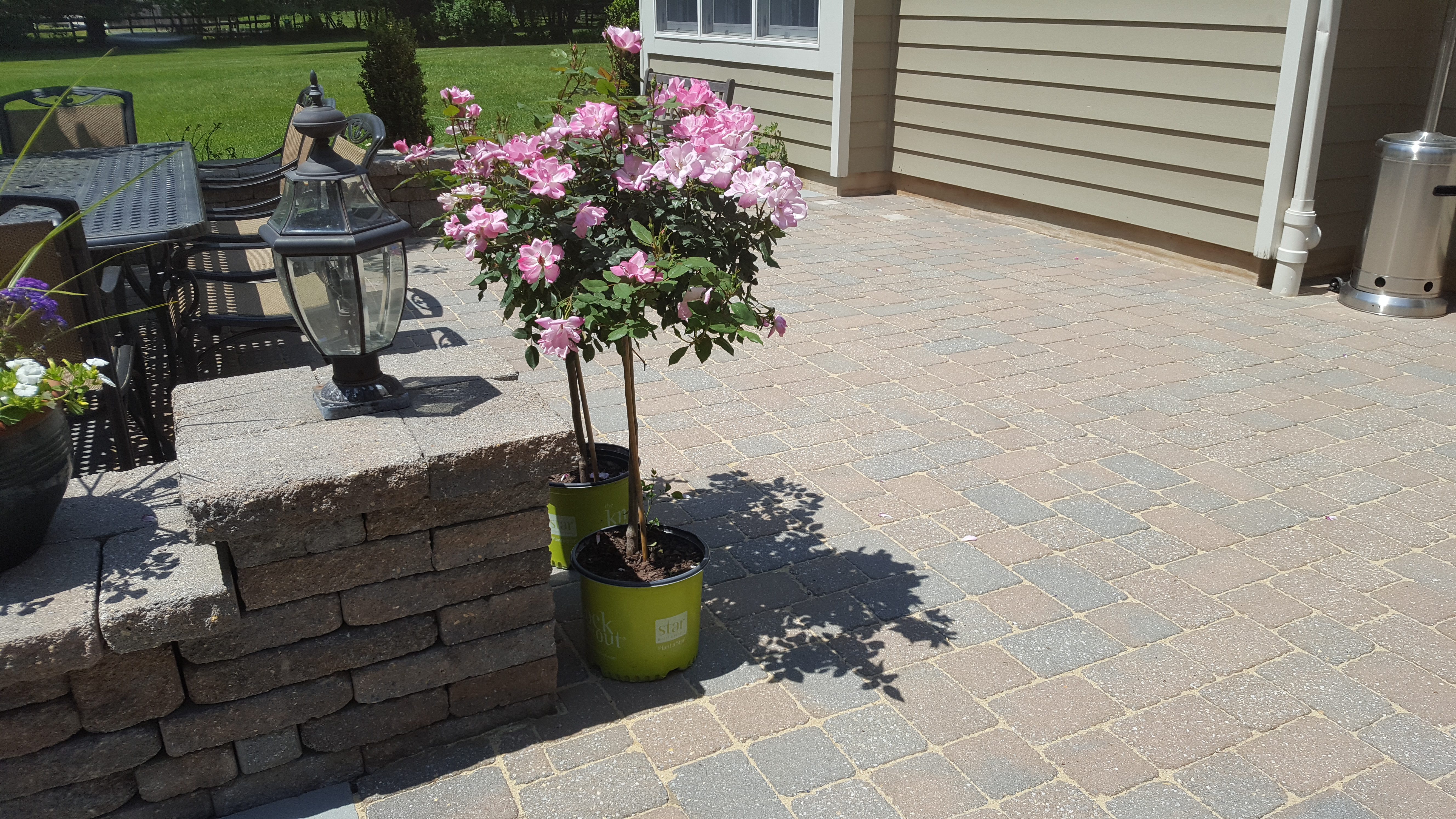 Paver restoration project 8