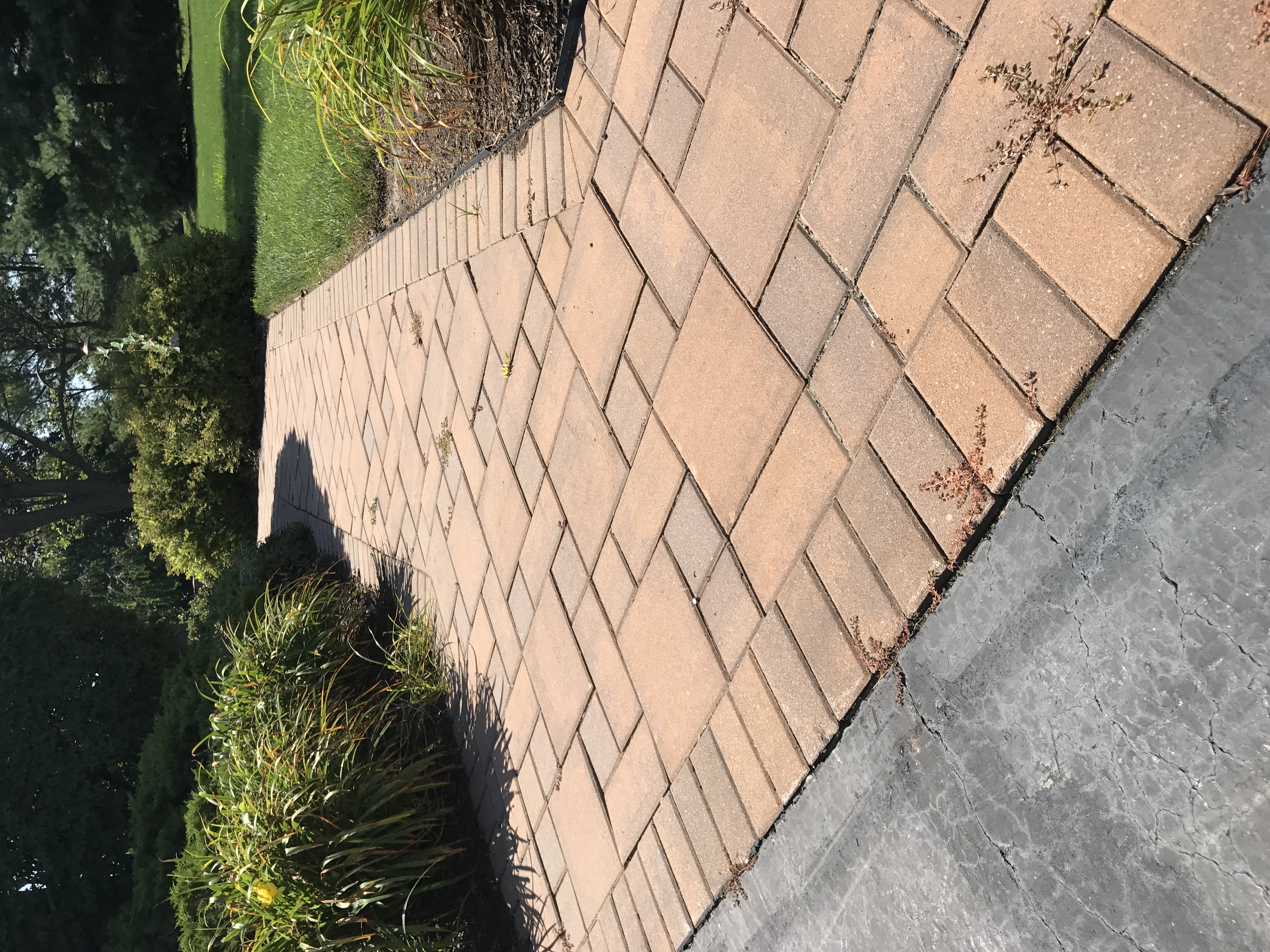 Paver restoration project 11