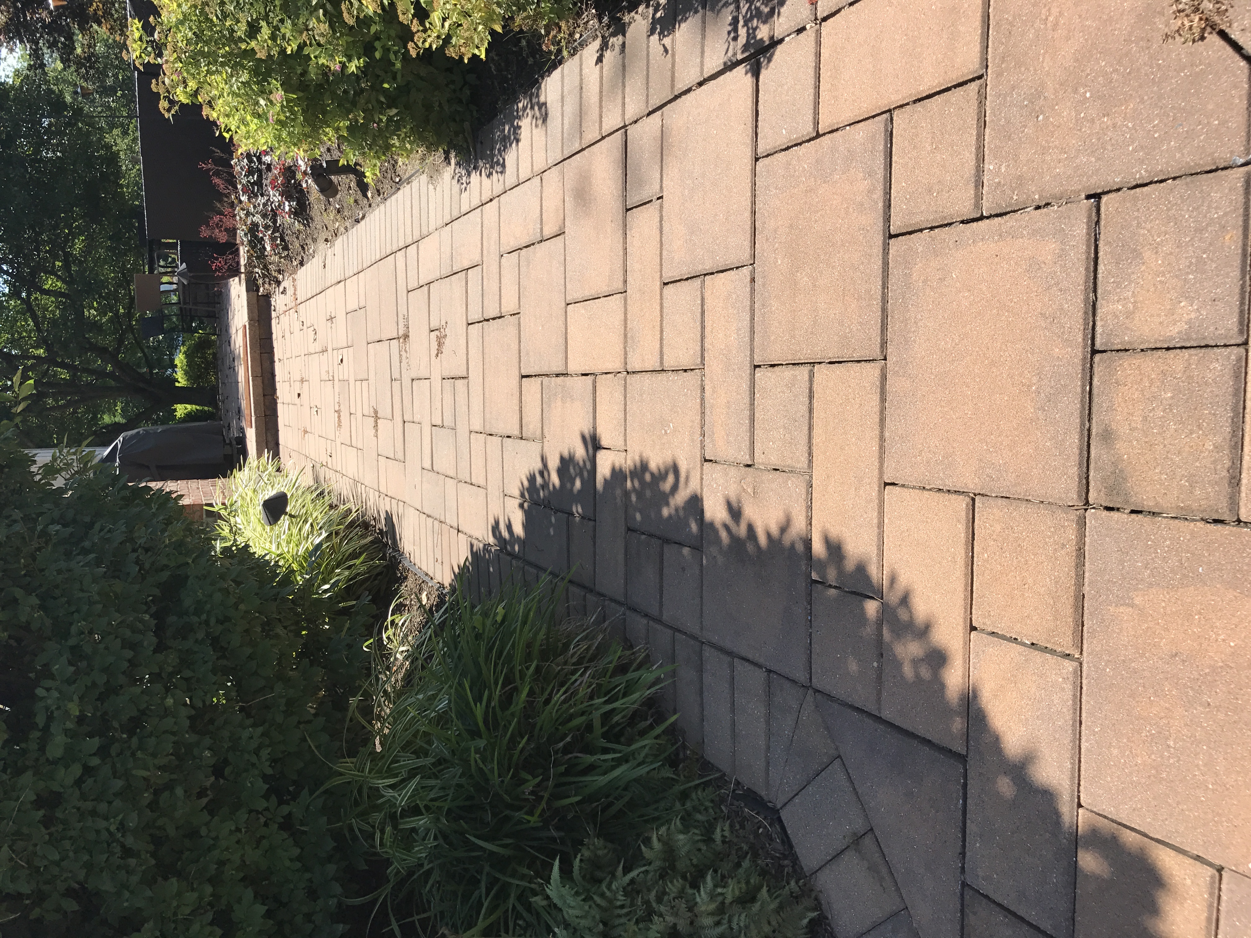 Paver restoration project 13