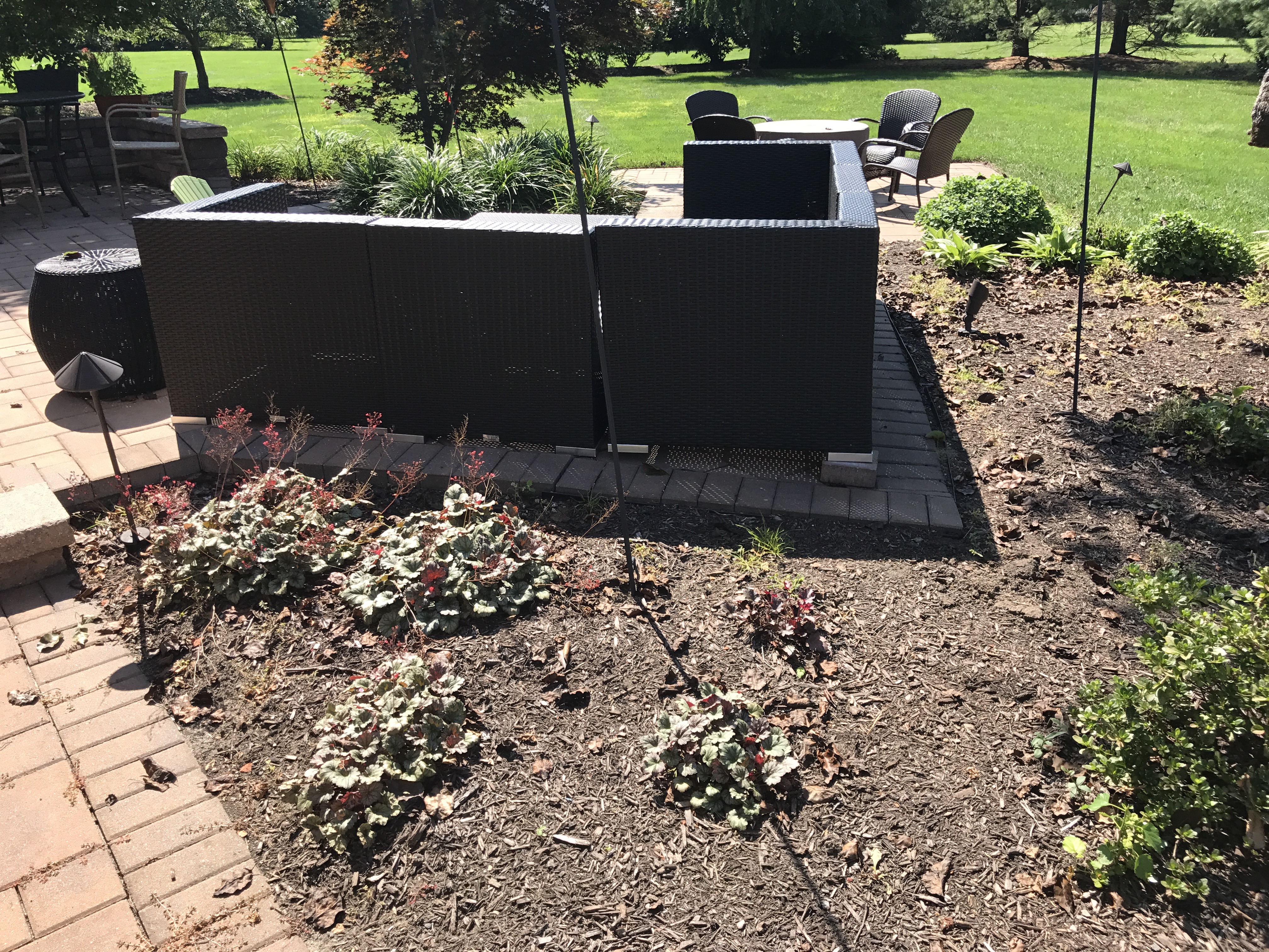 Paver restoration project 14