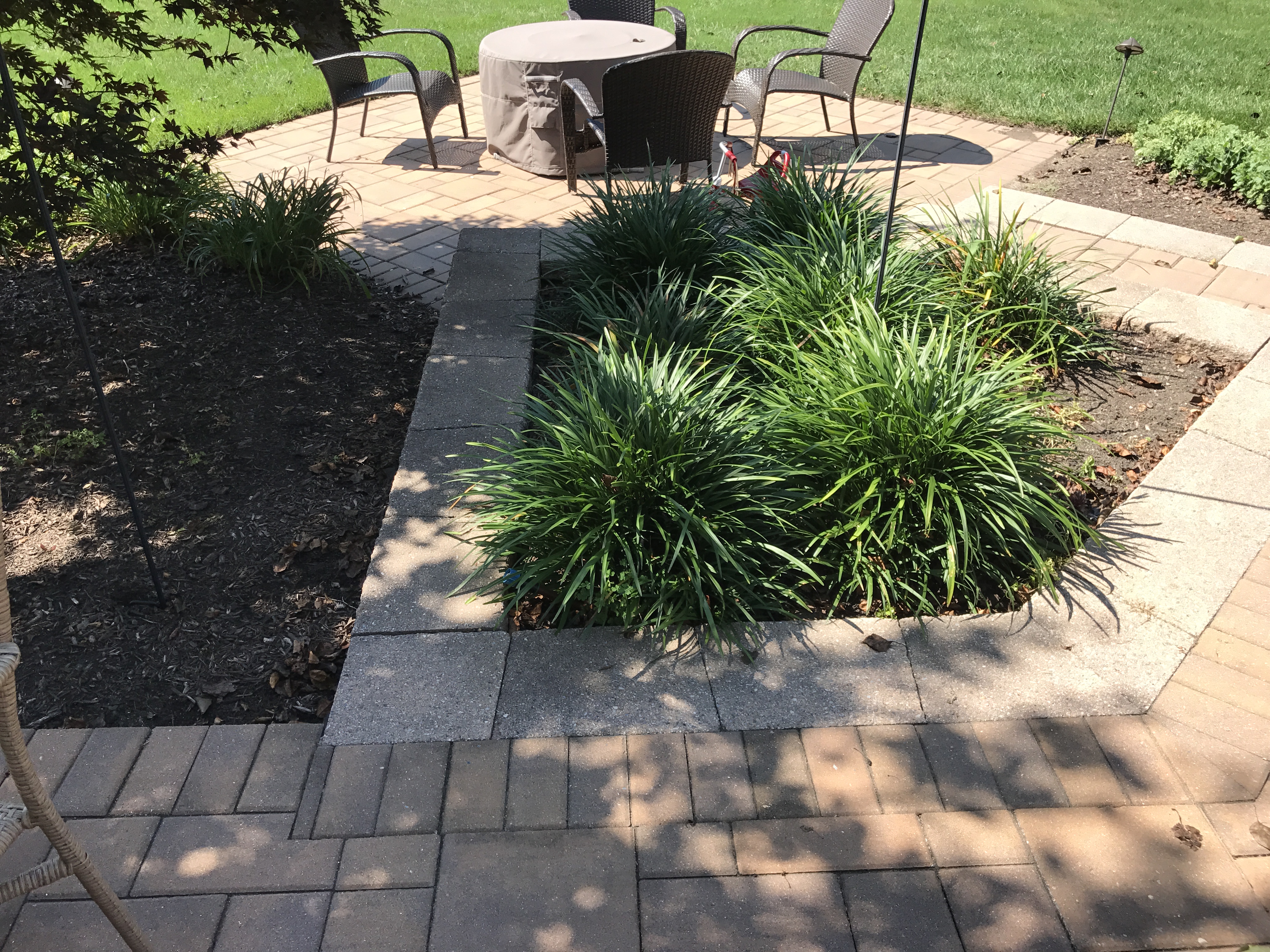 Paver restoration project 20