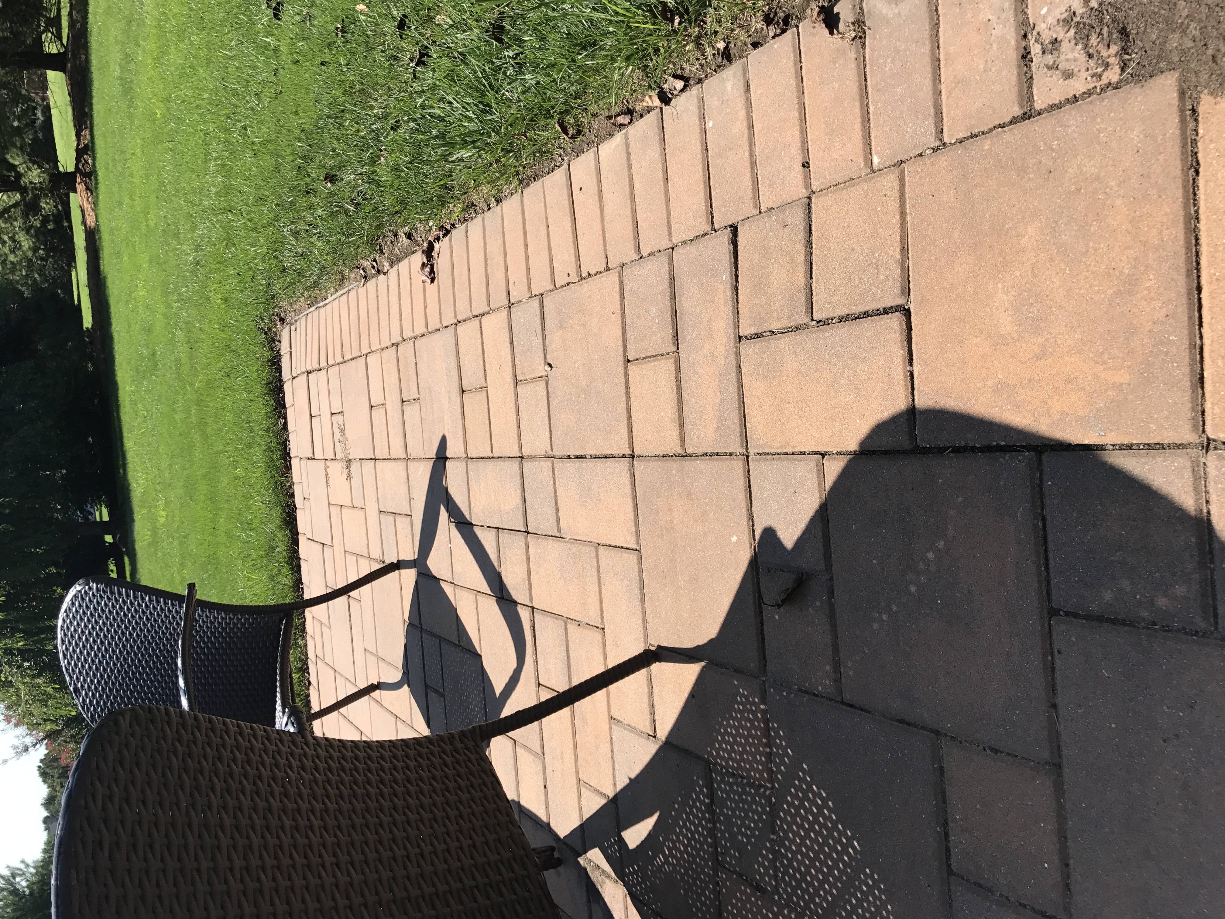 Paver restoration project 22