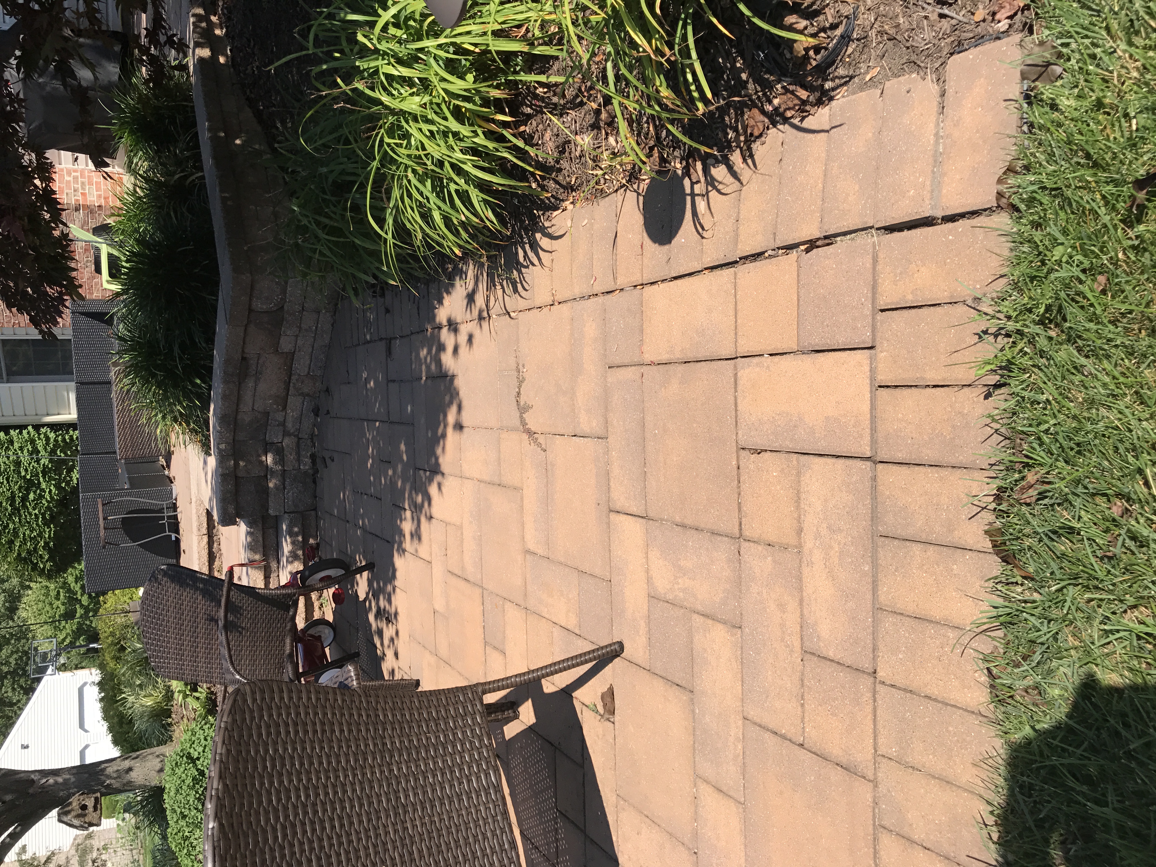 Paver restoration project 24