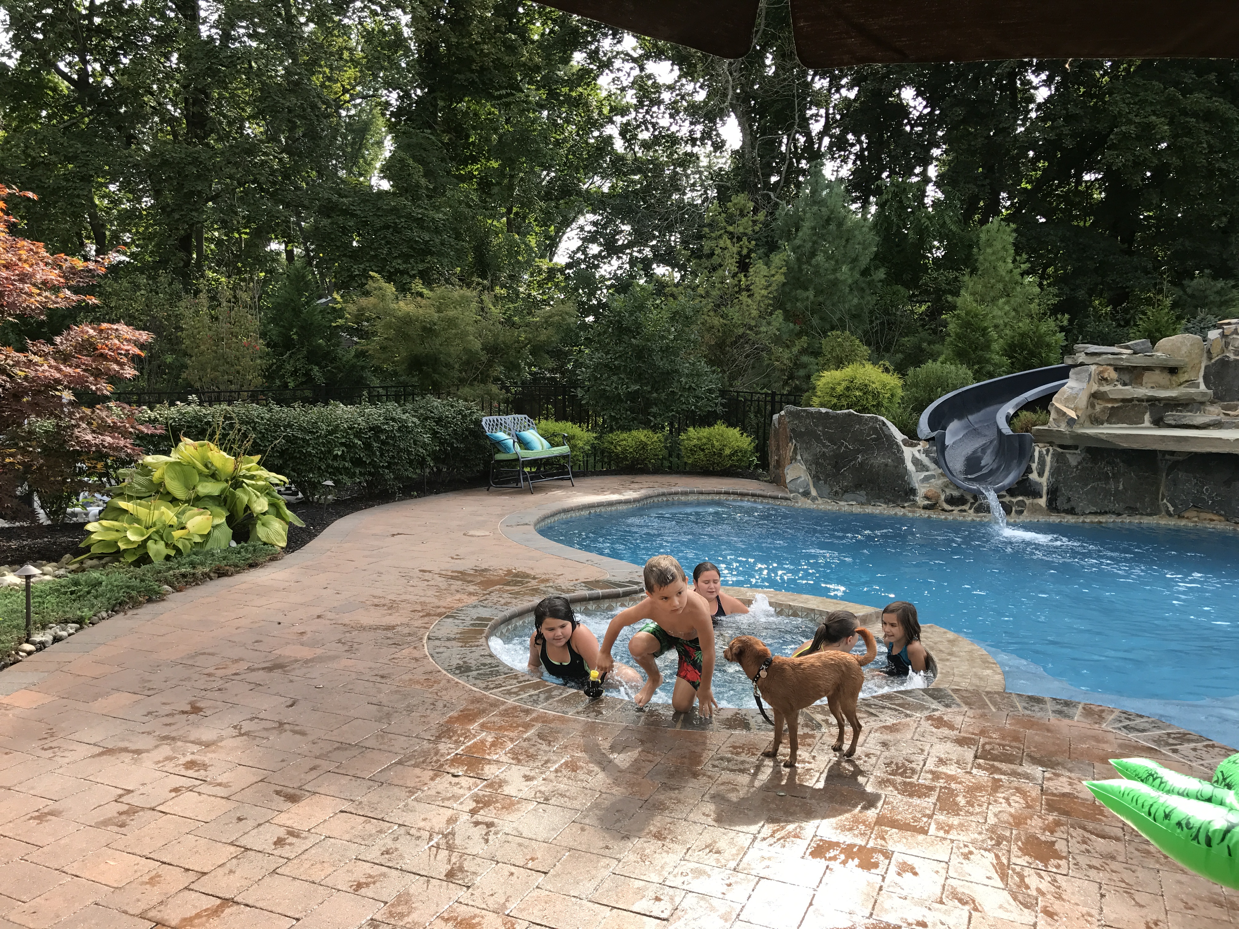 Paver restoration project 48