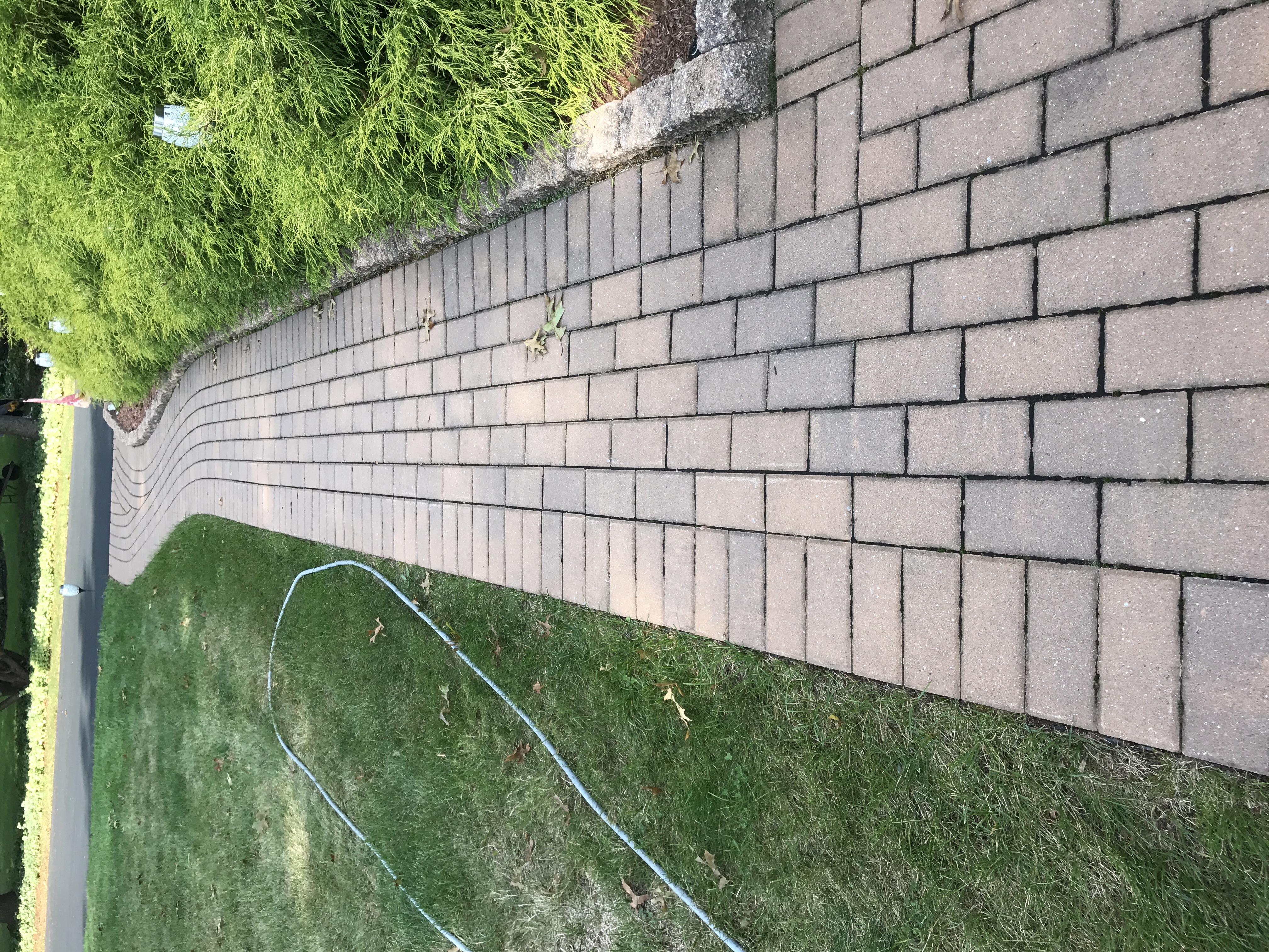 Paver restoration project 50