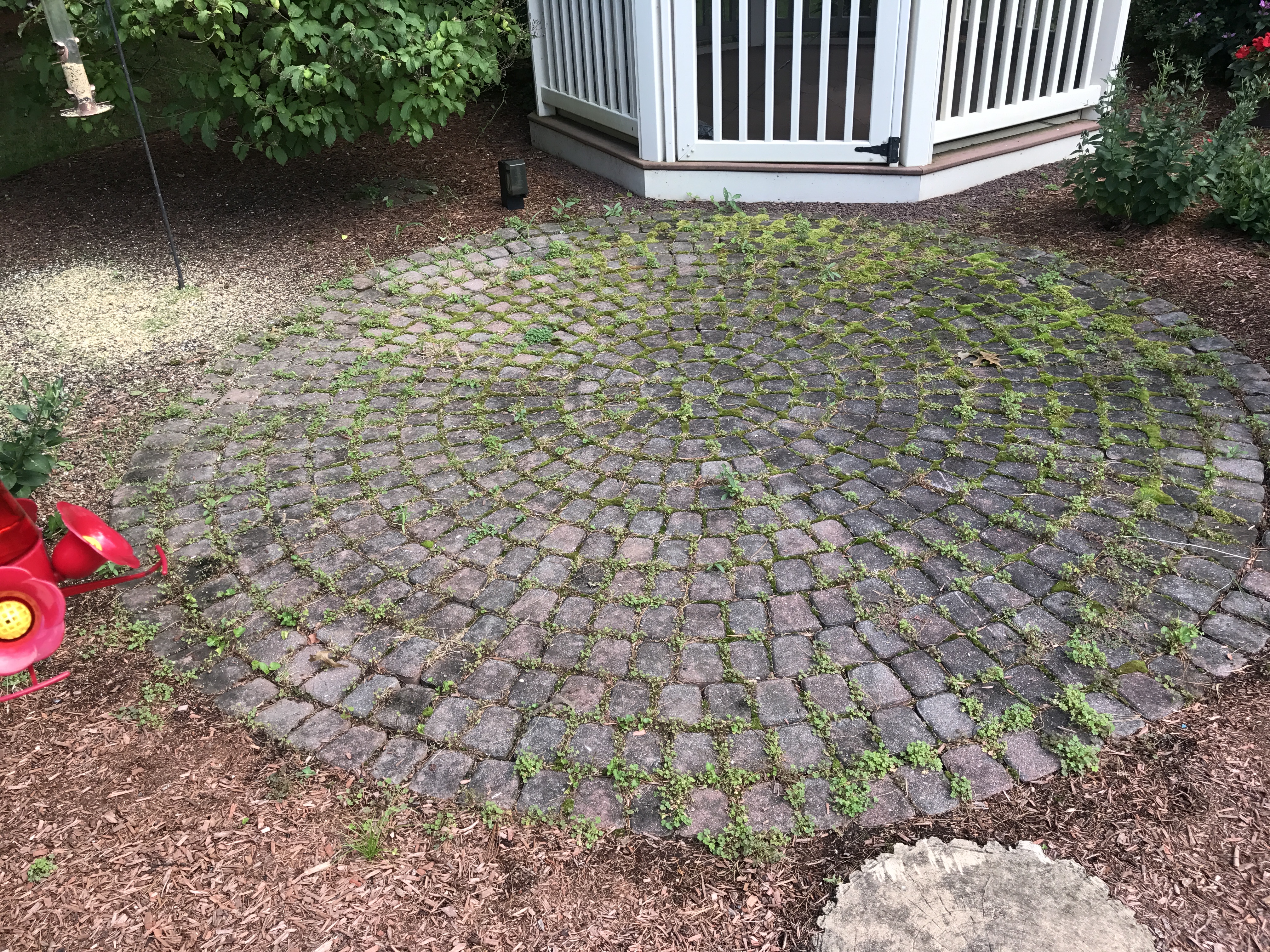 Paver restoration project 51