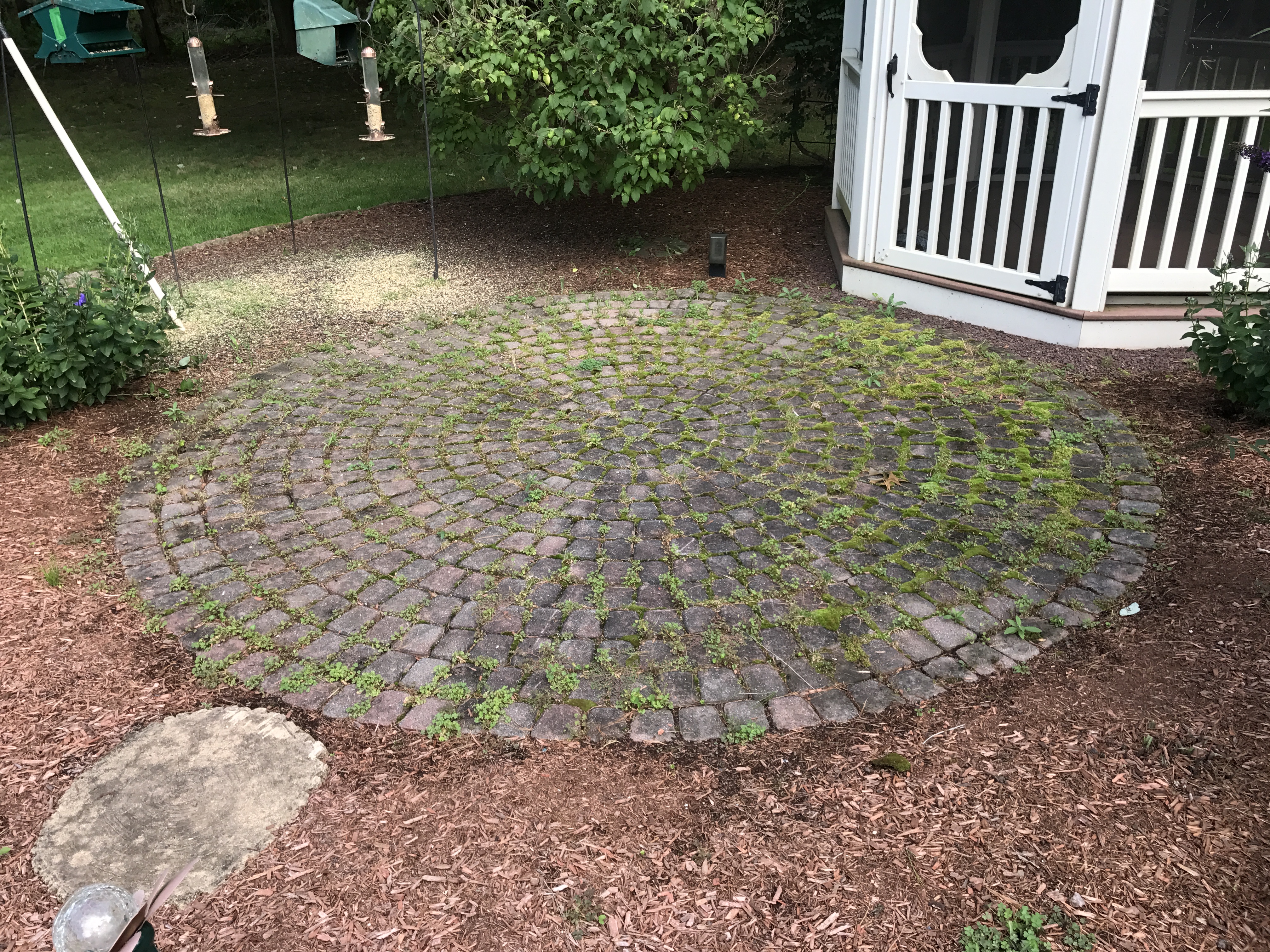 Paver restoration project 52