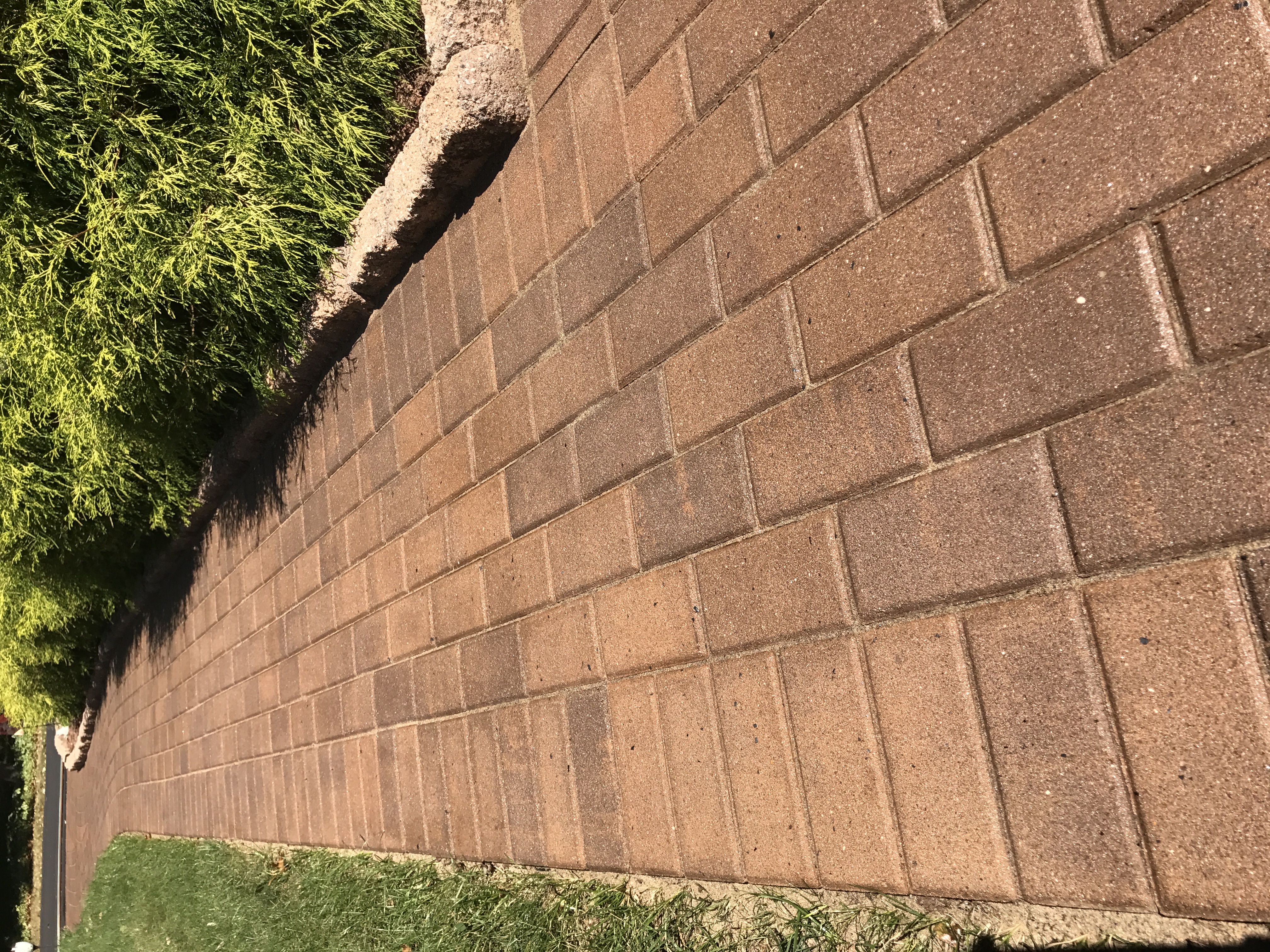 Paver restoration project 56