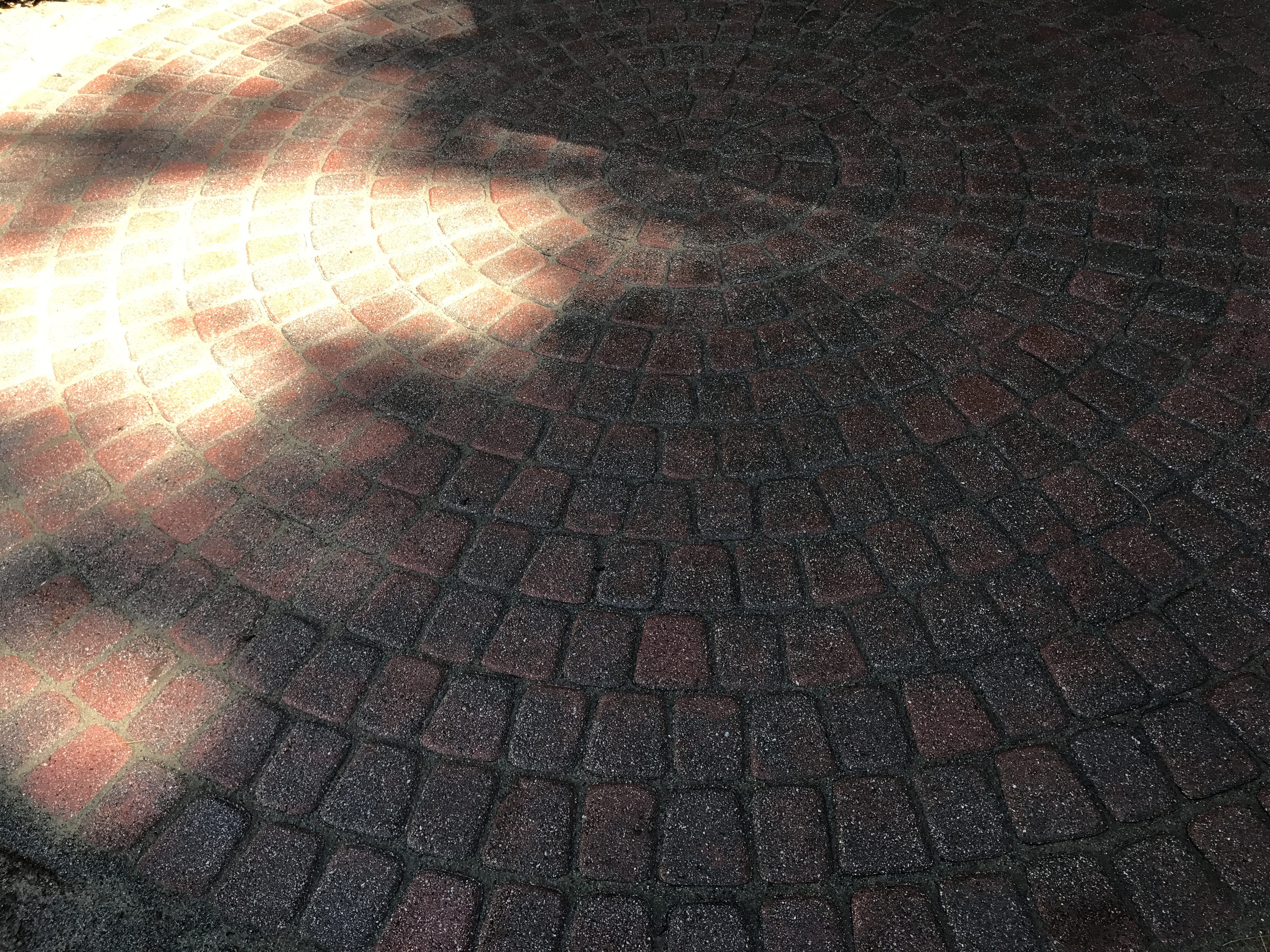 Paver restoration project 58
