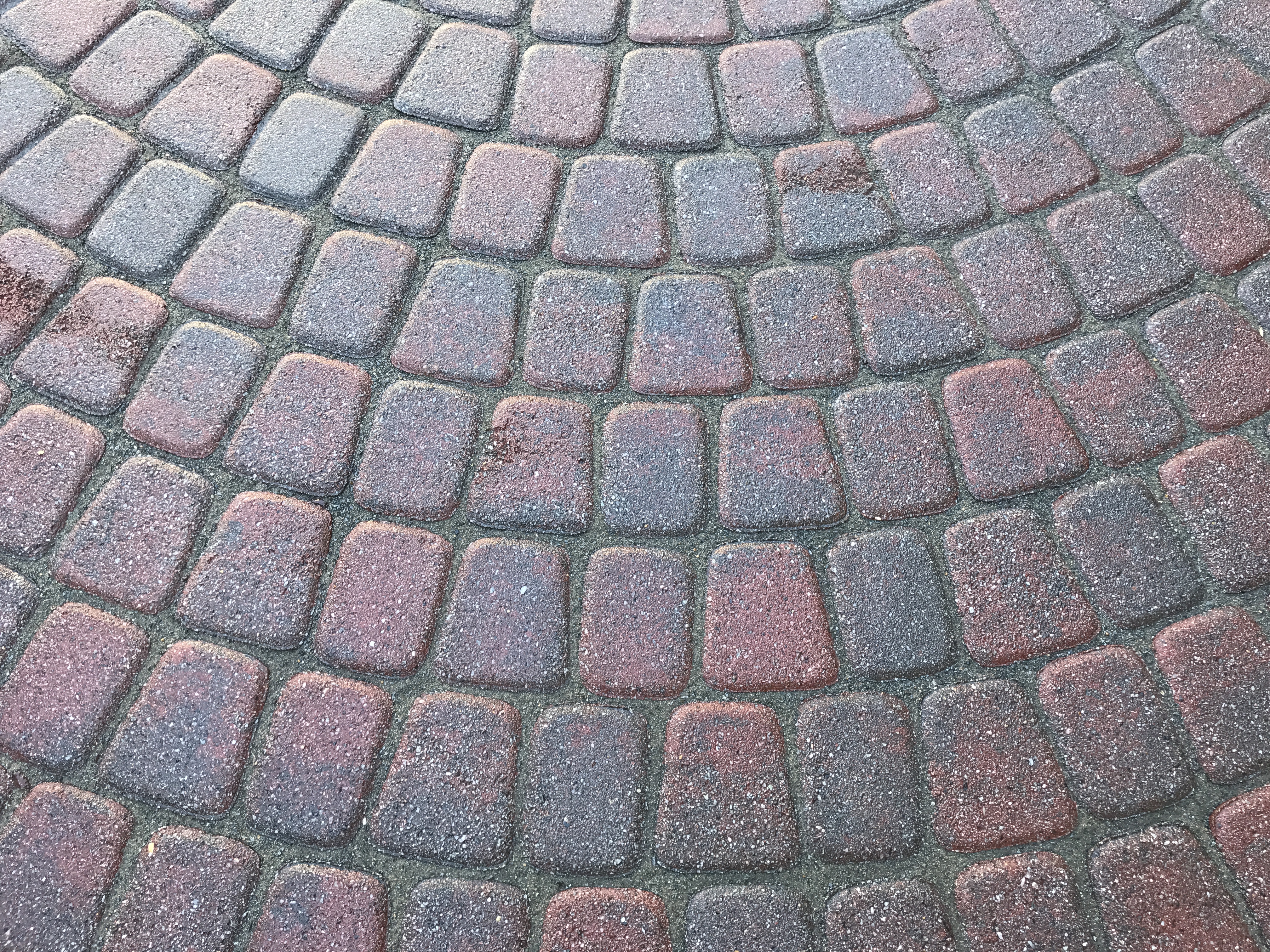 Paver restoration project 60