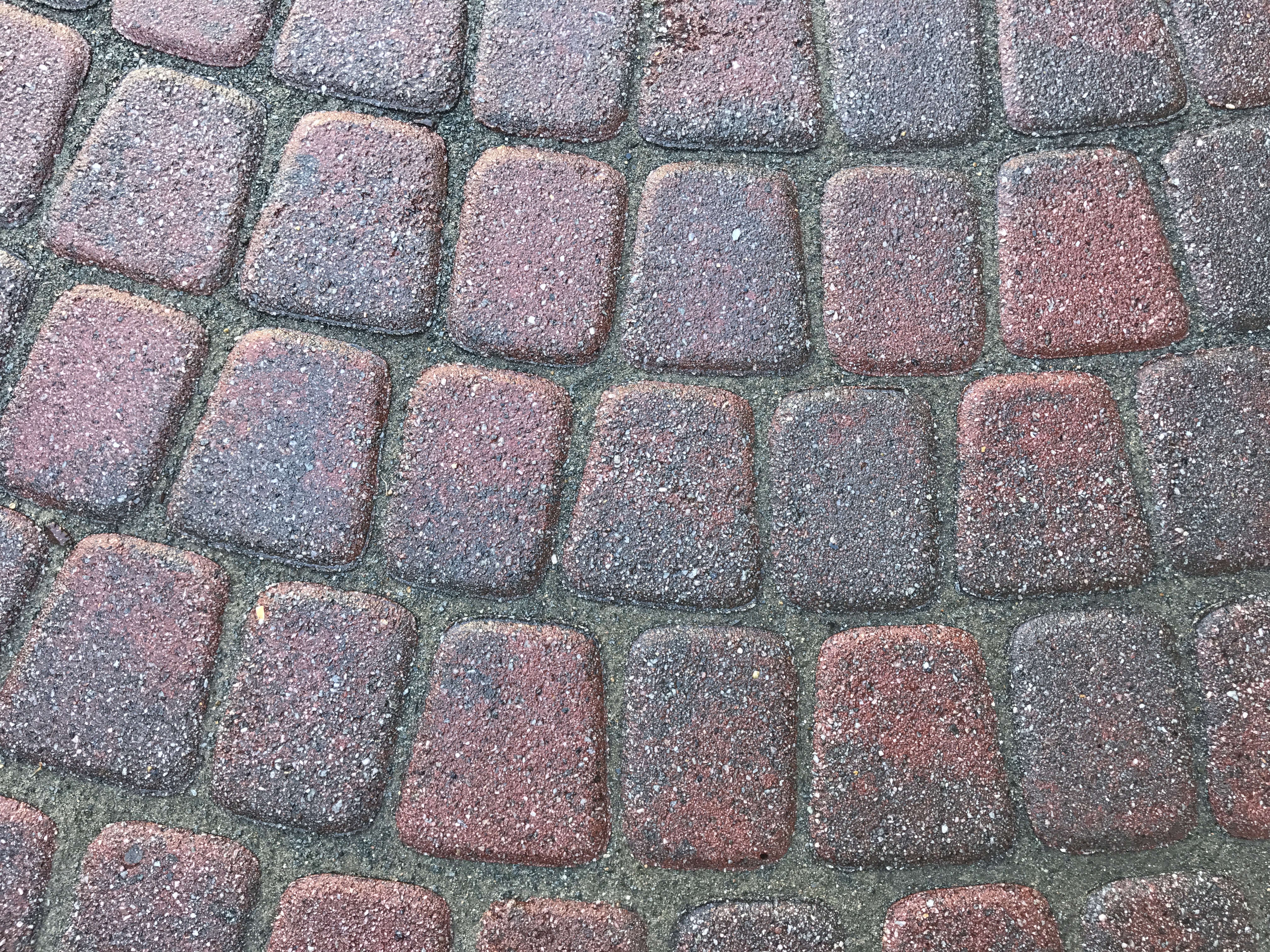 Paver restoration project 61