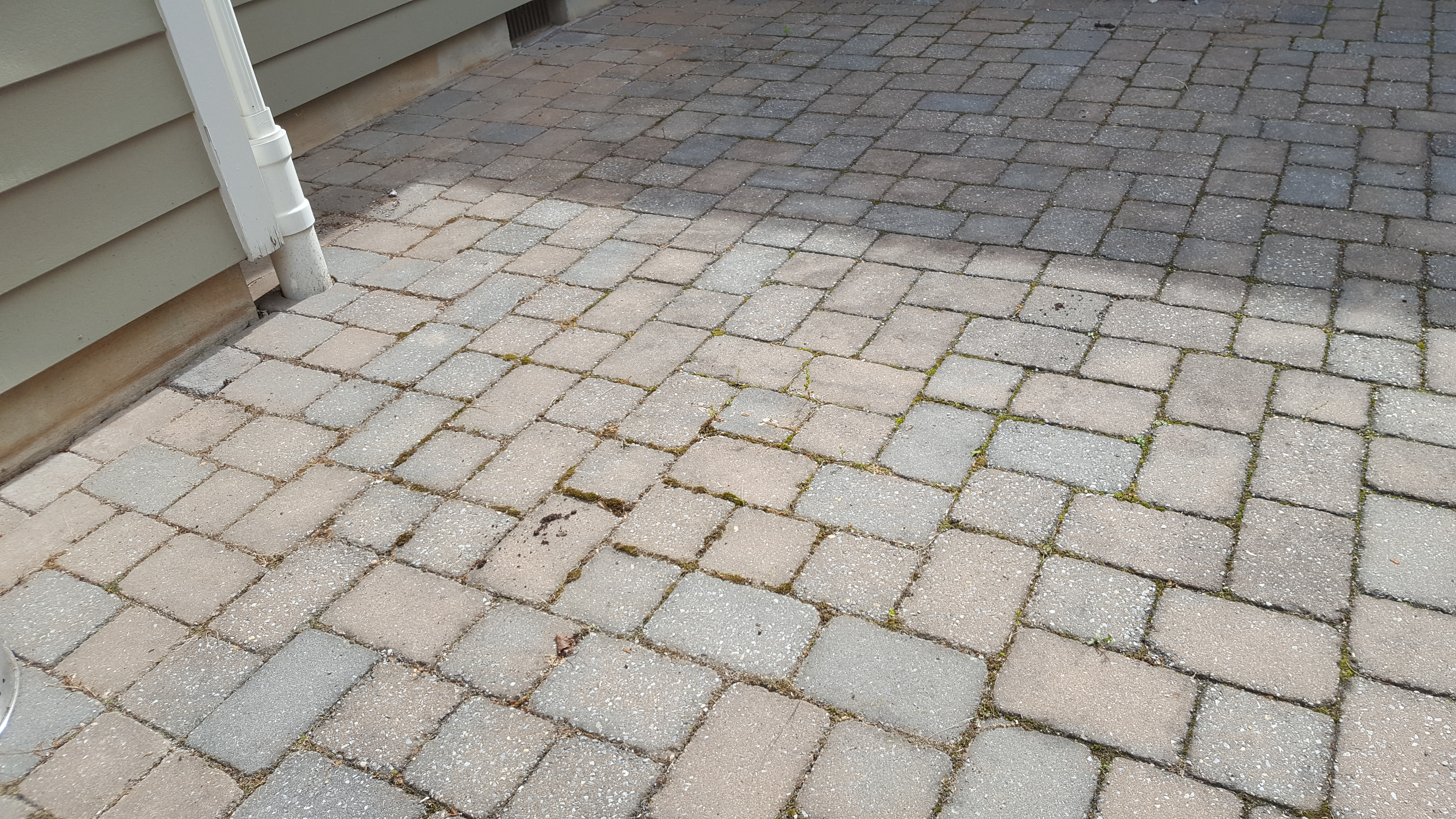 Paver restoration project 80