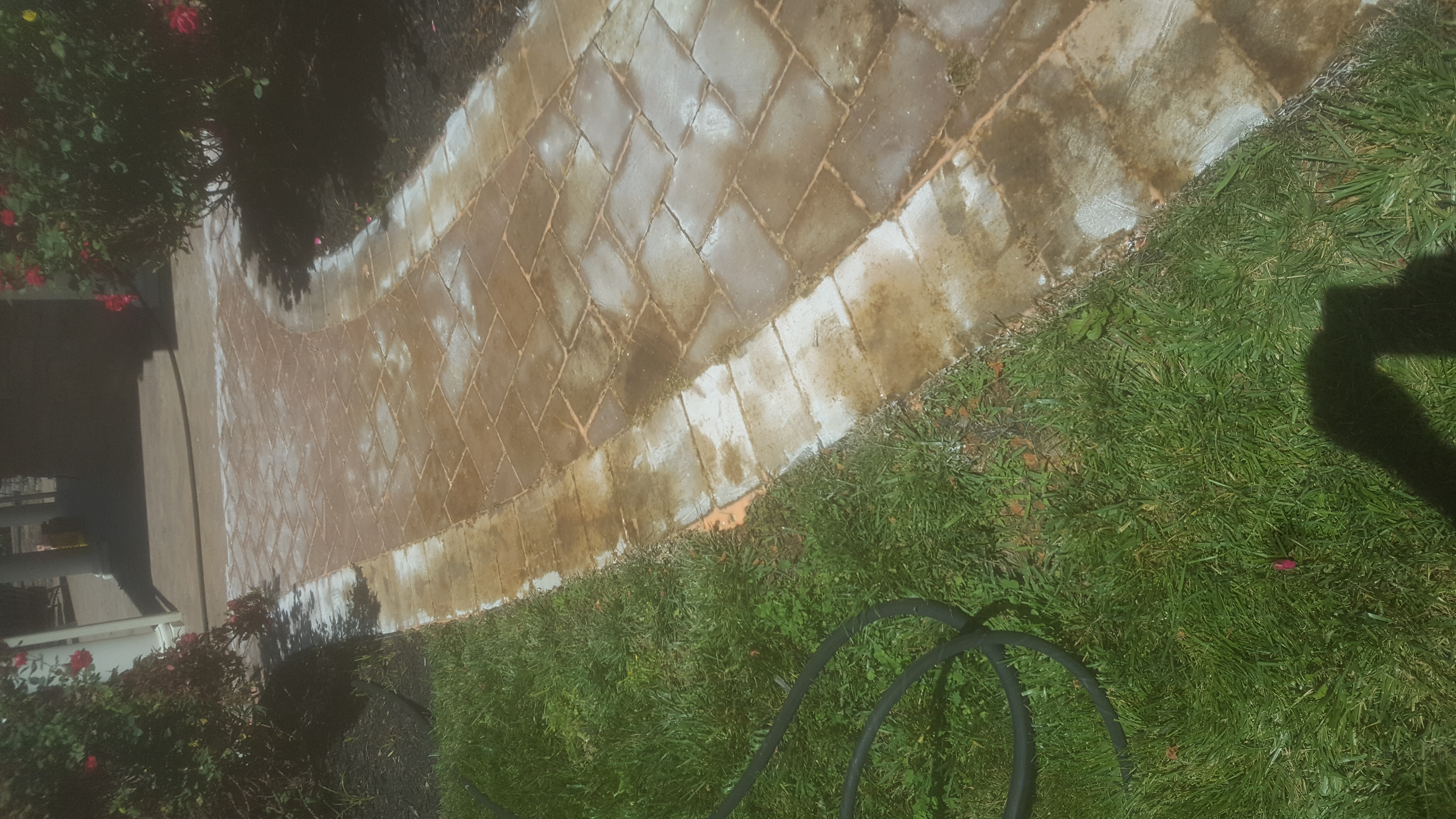 Paver restoration project 82