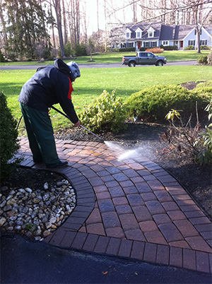 Professional paver deep cleaning
